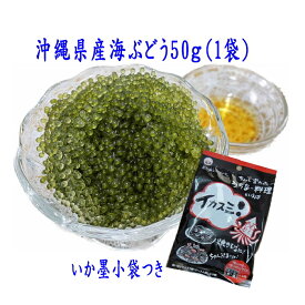【1000円ポッキリ】沖縄産海ぶどうシール付き1袋 ＋いか墨小袋付き ネコポス便送料無料【月間優良ショップ】