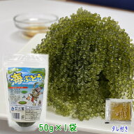 沖縄県産 感謝の海ぶどう 50g×（1袋/5袋）タレ付 シール付 化粧箱なし ネコポス便送料無料【月間優良シ…