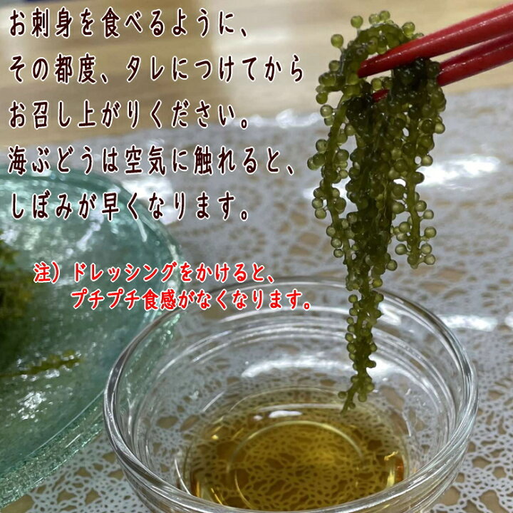 248円 販売実績No.1 沖縄県産 感謝の海ぶどう 50g×1袋 タレ付 シール付 化粧箱なし 248円 販売実績No.1 沖縄県産 感謝の海ぶどう 50g×1袋 タレ付 シール付 化粧箱なし
