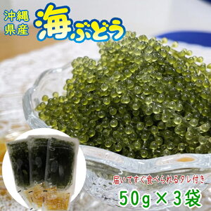 y10OFFzꌧY CԂǂ 50g×3 ϔȂ ^t lR|X֑ yԗDǃVbvzyX[p[SALEΏہz
