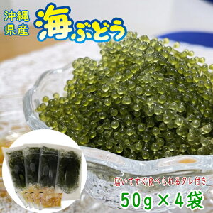 ꌧY ӂ̊CԂǂ 50g×4 ^t ϔȂ lR|X֑yԗDǃVbvz