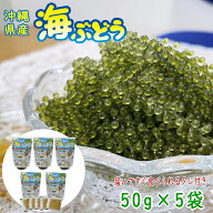 【お買い物マラソン期間中 半額】沖縄県産 感謝の海ぶどう 50g×5袋 タレ付 シール付 化粧箱なし ネコポ…