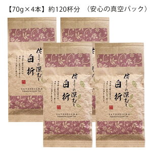 _8`99:59܂ŁIt̓w8%OFFN[|x^yV [ 70g2{`5{Zbg  ʌ { Β  ybg{g 500ml Β JeL Ɖu