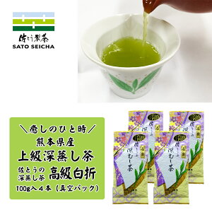 _8`99:59܂ŁIt̓w8%OFFN[|x^Ƃ̐[ ㋉  100g4{Zbg H꒼ F{ Mtg v[g  ybg{g 500ml JeL [ Β 