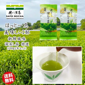 ＼20日～2日間限定！5%OFFクーポン／2400円相当 2023年 新茶【 佐とうの深蒸し茶 特選100g2本セット 】 日本茶 自家用 深蒸し茶 熊本県 ギフト プレゼント お茶 ペットボトル 500ml ネコポス 緑茶 カテキン 深蒸し茶