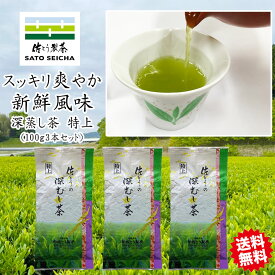 ＼18日～20日 お茶っ葉の日『8%OFFクーポン+ポイント8倍』／2025年 新茶 ★ 定期購入 19％OFF★2850円相当 【 佐とうの深蒸し茶 特上100g入3本セット】 熊本県 工場直売ギフト プレゼント 健康 長寿 お茶 ペットボトル 500ml カテキン 送料無料