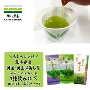 _15`16 2Ԍ^ݔ  3350~ y Ƃ̐[ I I  100g3{Zbg z [ H꒼ Mtg  ybg{g 500ml v[g