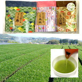 ＼20日～2日間限定！5%OFFクーポン／【 佐とうの深蒸し茶 上級茶 寿・高級・八十八夜30g3本 お試し飲み比べセット 】 2023年 工場直売 熊本県産 プチギフト プレゼント お茶 ペットボトル 500ml カテキン ★42杯分