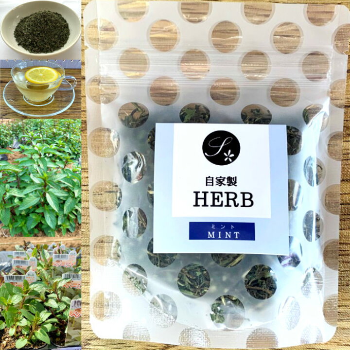 楽天市場 お買い物マラソン限定 0円offクーポン配布中 国産ハーブ 乾燥 ミント 15g 自園 自製 農薬不使用 料理 ミント水 乾燥ハーブ ペパーミント 佐とう製茶