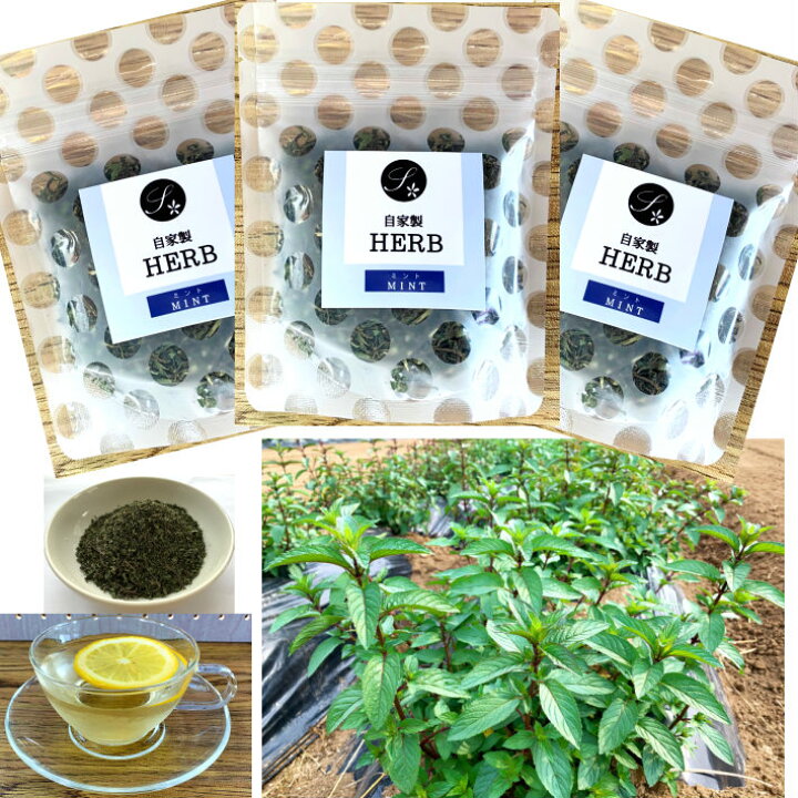楽天市場 送料無料 国産ハーブ 乾燥 ミント 15g 3袋 自園 自製 農薬不使用 料理 ミント水 乾燥ハーブ ペパーミント 佐とう製茶