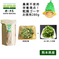 ＼11日まで！5％OFFクーポン／2025年産 国産 乾燥ゴーヤ 280g お得用 農薬不使用 無添加 9,520円相当 ゴ…