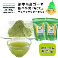 ＼11日まで！5％OFFクーポン／★ 定期購入 16％OFF★ 国産 ゴーヤ 粉末100g 2袋セット 農薬不使用 無添加…
