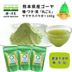 ＼24日20時スタート！20％OFFクーポン／【 国産 ゴーヤ 粉末100g 3袋セット 農薬不使用 無添加 】6,600円相当 ゴーヤ ゴーヤ— パウダー 無添加 農薬不使用 にがうり ビタミンC エラブ 健康 工場直売 熊本県