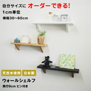 EH[VFt  t 1cmPʂŃI[_[\ Ǌ| 30cm`60cm OK st  I VFtI ؐ ǖʎ[ I Ǖt 