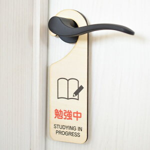 hA v[g hATC ׋ STUDYING IN PROGRESS ݂艺 ؐhATC UVvg CeA ē Ăт fUC  hAmuv[g hAtbN [։\