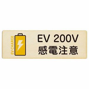 EV�� �[�d �[�d�X�e�[�V���� �v���[�g �ؐ� �o�b�e���[ EV 200V �i�`�������C�G���[ �����` 12x4cm 18x6cm 27x9cm ���S�΍� ���ӊ��N ���d���� �T�C���v���[�g �`���[�W �d�C������ �[�d�|�[�g �[�d�X