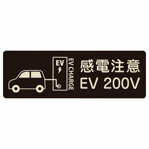 EV�� �[�d �[�d�X�e�[�V���� �v���[�g �ؐ� �ԁ��o�b�e���[ EV 200V �u���b�N �����` 12x4cm 18x6cm 27x9cm ���S�΍� ���ӊ��N ���d���� �T�C���v���[�g �`���[�W �d�C������ �[�d�|�[�g �[�d�X�^���h