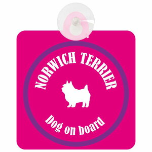 Norwich Terrier m[b`eA sNp[v  KX zՃ^Cv DOG IN CAR    VGbg AG Jt hbOCJ[ hbOI{[h S΍ Z[t