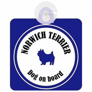 Norwich Terrier m[b`eA zCg&lCr[  KX zՃ^Cv DOG IN CAR    VGbg AG Jt hbOCJ[ hbOI{[h S΍ Z[t