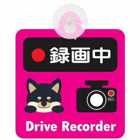 セーフティサイン 犬 黒柴 録画中 Drive Recorder ピンク 吸盤タイプ あおり運転 対策 自動車 収れん火災防止タイプ 安全対策