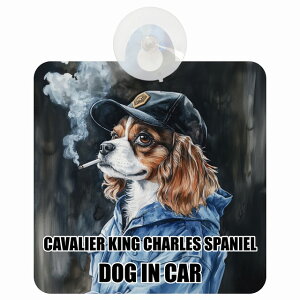 CAVALIER KING CHARLES SPANIEL LoALO`[YXpjG DOG IN CAR z ΍Жh~^Cv ԓp ƕ 傢 hbOI{[h S΍ ^] Z[teBTC