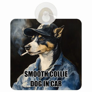  SMOOTH COLLIE X[XR[ DOG IN CAR z ΍Жh~^Cv ԓp ƕ 傢 hbOI{[h S΍ ^] Z[teBTC KX J[TC   