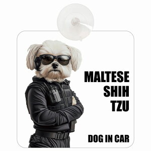  MALTESE SHIH TZU }V[Y[ DOG IN CAR z ΍Жh~^Cv ԓp ZLeBK[h 傢 hbOI{[h S΍ ^] Z[teBTC KX J[TC