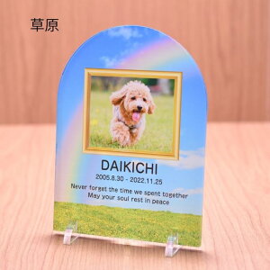 ybgA ANX^h ʐ^vg ybg AObY O t bZ[W c^ ^Cv ybgd v[g  vo ybgX ̋ LOi 