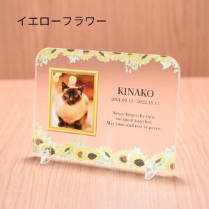 ybgA ANX^h ybg AObY ʐ^vg O t bZ[W ^ CG[t[^Cv ybgd v[g  vo ybgX 