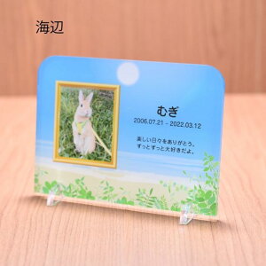 ybgA ANX^h ʐ^vg ybg AObY O t bZ[W ^ CӃ^Cv ybgd v[g  vo ybgX ̋ LOi 