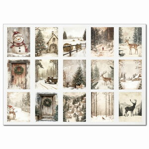 AeB[NEB^[A[gEBO[v A4XebJ[ 15 V[ R[W f NX}X [X iF ~  蒠fR X}z {