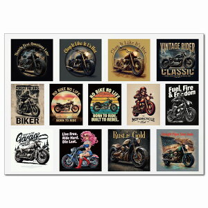 Be[WoCJ[|X^[EAO[v A4XebJ[ 13 V[ R[W f oCN [^[TCN oCJ[ AJJX^ g {