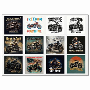 Be[WoCJ[|X^[ECO[v A4XebJ[ 12 V[ R[W f oCN [^[TCN oCJ[ AJJX^ g {