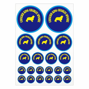 hbO XebJ[ Jt LoALO`[YXpjG lCr[u[ A4TCY ܂Ƃ߂ċlߍ킹 TCY ی^ 21Zbg  V[ J[XebJ[  Lv 