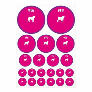 hbO XebJ[ Jt pO sNp[v A4TCY ܂Ƃ߂ċlߍ킹 TCY ی^ 21Zbg  V[ J[XebJ[  Lv  hbOt[hp O  