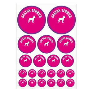 hbO XebJ[ Jt {XgeA sNp[v A4TCY ܂Ƃ߂ċlߍ킹 TCY ی^ 21Zbg  V[ J[XebJ[  Lv  hbOt[hp 