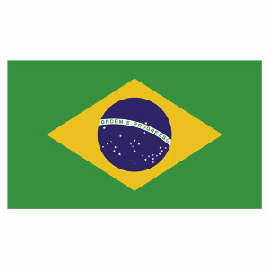 270x155mm uW Brazil  XebJ[ V[ National Flag   r