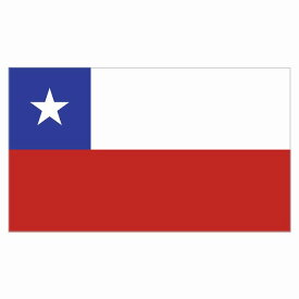 270x155mm チリ Chili 国旗 ステッカー シール National Flag 国 旗 塩ビ製