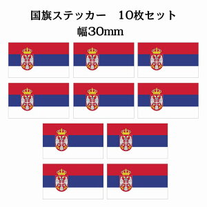 30x17mm 10Zbg ZrA Serbia  XebJ[ V[ National Flag   r