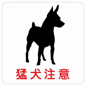 Ҍ sNgTC XebJ[ V[ r CeA { ē  S΍