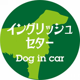 Dog in car ドッグインカー ステッカー カーステッカー イングリッシュセター レトロ書体 グリーン シール 煽り運転対策 屋外 屋内 防水 かわいい おしゃれ カーサイン