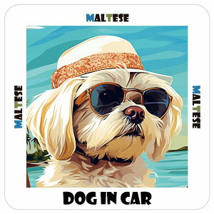 Maltese }`[Y  J[XebJ[ V[ DOG IN CAR C Xq TOX  13x13cm ` h O  ԃXebJ[XebJ[    킢 oCN TCXe
