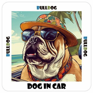Bulldog uhbO  J[XebJ[ V[ DOG IN CAR C Xq TOX  13x13cm ` h O  ԃXebJ[XebJ[    킢 oCN TCXe