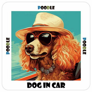 Poodle v[h  J[XebJ[ V[ DOG IN CAR C Xq TOX  13x13cm ` h O  ԃXebJ[XebJ[    킢 oCN TCXeb