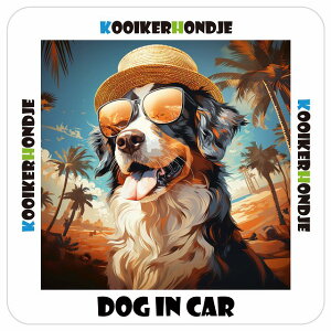 Kooikerhondje コーイケルホーンディエ DOG IN CAR 海 麦わら帽子 サングラス 夏 13x13cm 正方形 防水 屋外 屋内 車ステッカーステッカー 車 かっこいい おしゃれ かわいい バイク サインステッカー カ