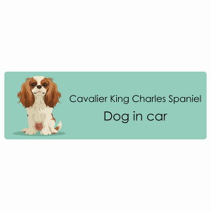  Cavalier King Charles Spaniel LoALO`[YXpjG Dog IN CAR J[XebJ[ V[  pXe ݃J[ X^C Aj 20x6.7cm ` h O  hbOI