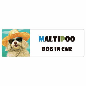 Maltipoo }v[  J[XebJ[ V[ DOG IN CAR C Xq TOX  20x6.7cm ` h O  ԃXebJ[ XebJ[    킢 oCN TCXe