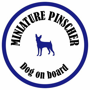 Z[teBTC XebJ[ Jt Dog on board ی^ ~j`AsV[ zCg&lCr[ a13cm ^] ΍ J[XebJ[ V[  A EChE O  h 