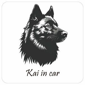 hbO J[XebJ[ CXgt Dog in Car b㌢ B^Cv Z[teBTC  ` 13x13cm V[ A ^]΍ Dog Sticker O  h 킢  S΍ J[TC