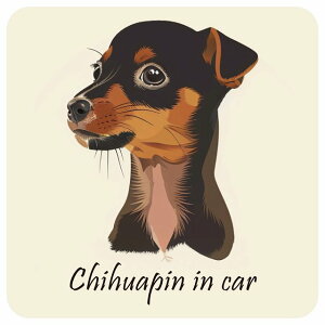 hbO J[XebJ[ CXgt Dog in Car `s A^Cv Z[teBTC  ` 13x13cm V[ A ^]΍ Dog Sticker O  h 킢  S΍ J[T
